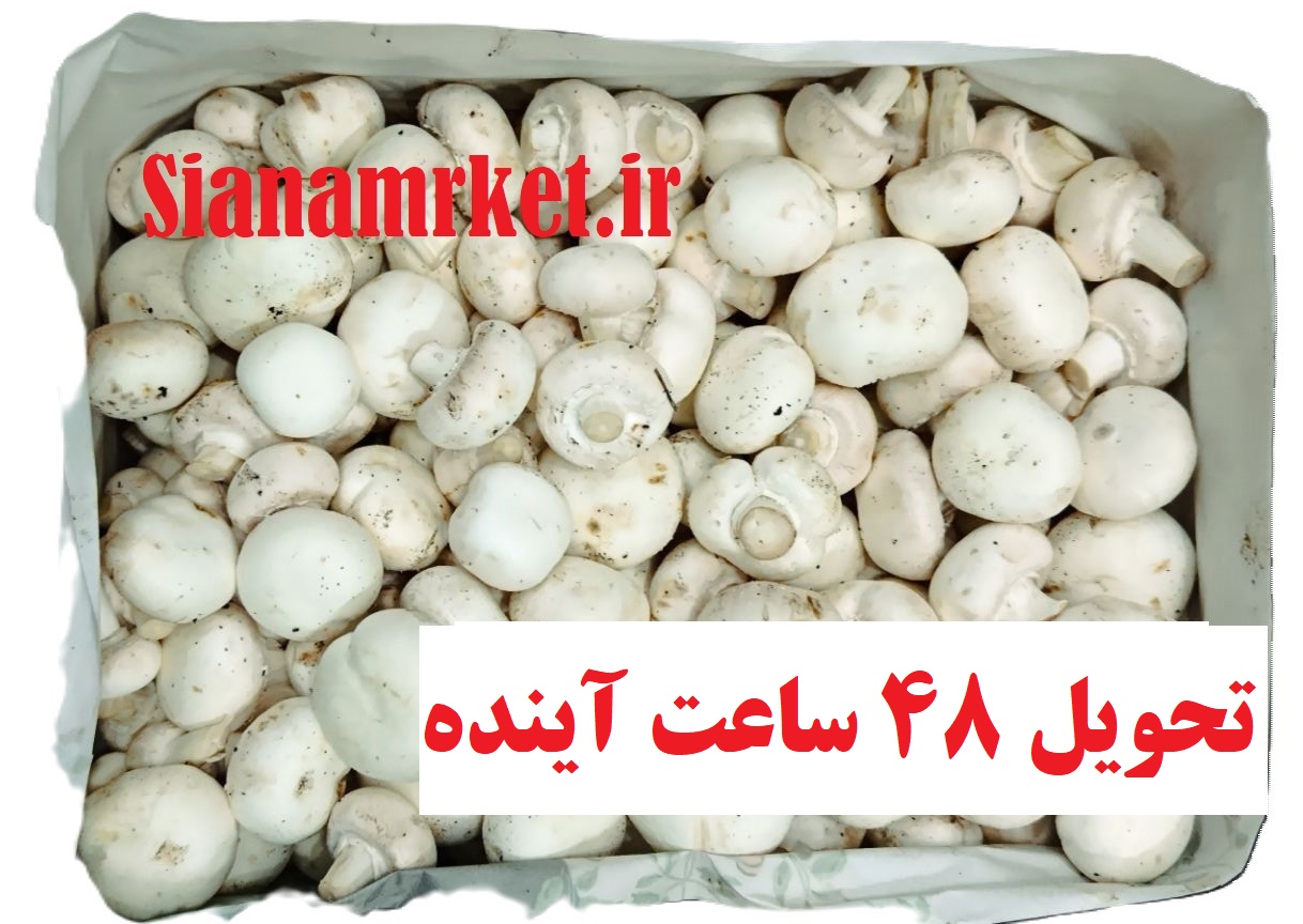 قارچ دکمه ای سفید فله - تحویل تا 48 ساعت