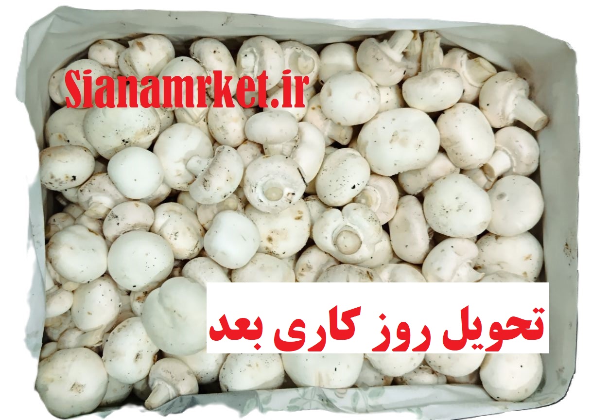 قارچ دکمه ای سفید فله - تحویل روز کاری بعد